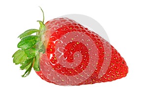 Isolated fresh strawberry on white background