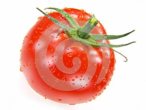 Isolated Fresh Tomato