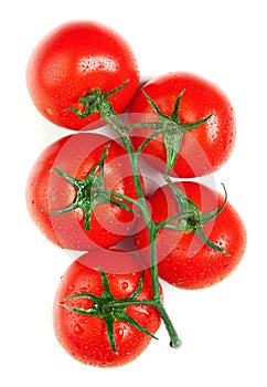 Isolated fresh tomatoes