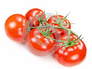 Isolated Fresh Tomatoes