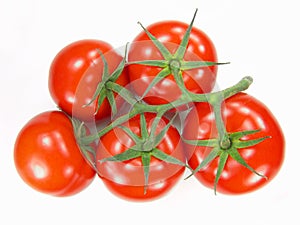 Isolated Fresh Tomatoes