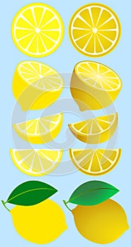 Isolated Fruits Lemon Set on Blue Background