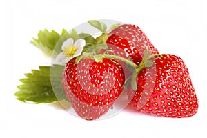 Isolated fruits - Strawberries