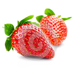 Isolated fruits - Strawberries photo