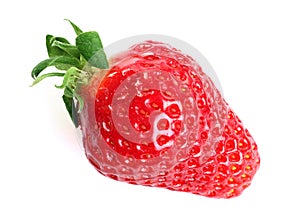 Isolated fruits - Strawberries