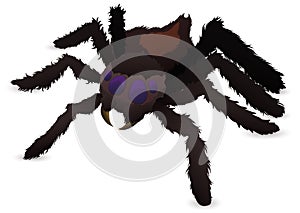 Isolated Furry Giant Spider with Big Fangs, Vector Illustration