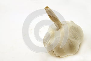 Isolated Garlic bulb