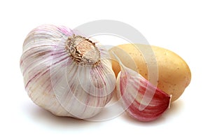 Isolated garlic with potato