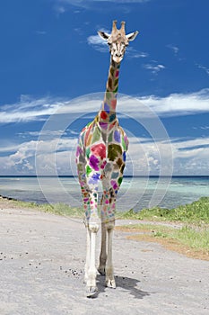 Carnival Arlequin Giraffe coming to you on deep blue sky background photo