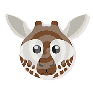 Isolated giraffe face