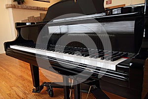 Isolated Grand Piano