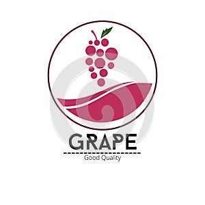 Isolated grape vector logo icon Organic grape brand template Natural grape Line Logotype