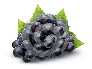 Isolated grapes bunch. Pile of dark blue grapes with leaves isolated on white background with clipping path.