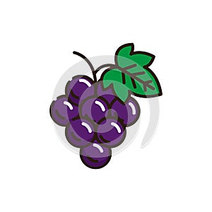 Isolated grapes icon fill vector design