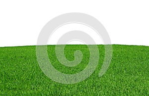 Gras 