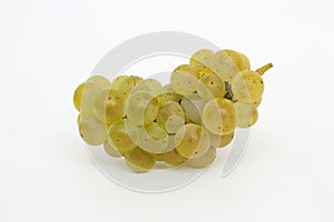 isolated green bunch of grapes on a white background
