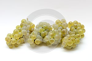 isolated green bunch of grapes on a white background