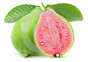 Isolated green cut guava on a branch photo