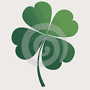 isolated green four leaf clover