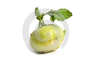 Isolated green fresh kohlrabi on a white background. Example of cruciferous vegetables