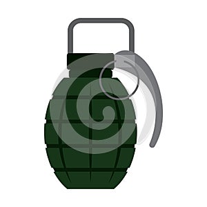 Isolated green granade icon