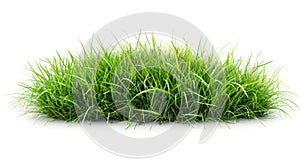 Isolated Green Grass Turf with Alpha Mask for Easy Object Isolation - 3D Illustration