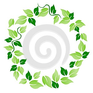 Green leaf circle