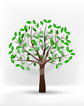Isolated green leafy summer tree vector