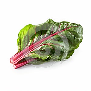 Isolated Green Swiss Chard Leaf On White Background