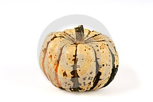 Isolated green and white pumpkin