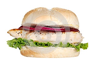 Isolated grilled chicken sandwich