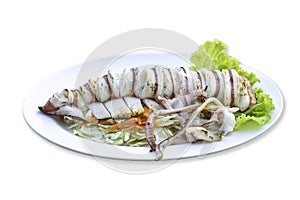 Isolated Grilled squid in vegetables in the plate on a white background with clipping path
