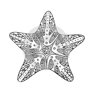 Isolated hand drawn black outline starfish on white background.