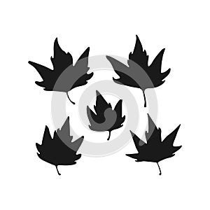 Isolated Hand drawn maple leaves