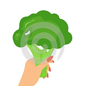 Isolated hand holding broccoli. Vector