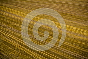 Isolated harvested field