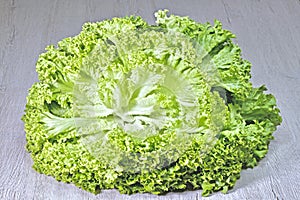 Isolated head of fresh lettuce close up