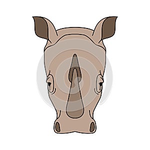 Isolated head of rhino, rhinoceros on white background. Colored cartoon face portrait.