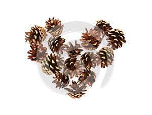 Isolated heart of pine cones