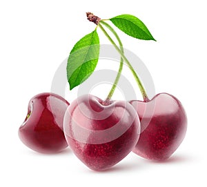 Isolated heart shaped cherries