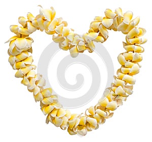 Isolated Heart-Shaped Hawaiian Lei