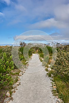 Isolated hiking trail in a natural landscape perfect for walking outside. Beautiful nature view with green grass, plants