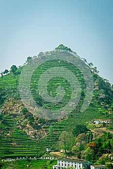 Isolated hill of western ghat