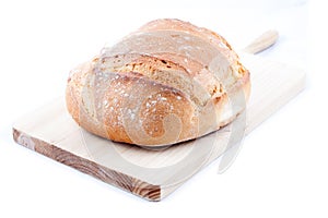Isolated Hogaza (Spanish bread) photo