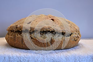 Isolated Homemade Organic Rye Sourdough Baked Round Loaf Bread Monster