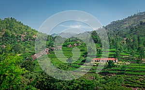 Isolated Homes in the foothills of western ghat with tee garden