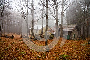 Isolated house in the beeches forest in Autumn.