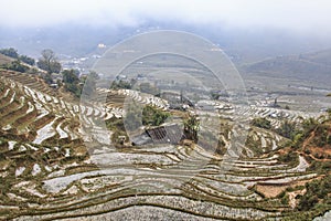 Isolated house among the rice terraces of Sapa in north Vietnam