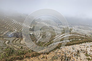 Isolated house among the rice terraces of Sapa in north Vietnam