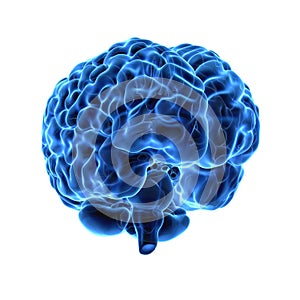 Isolated Human Brain Hologram on White Background